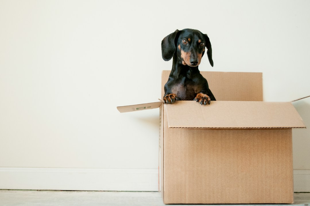 Are You Ready to Move to Tampa? 1 img