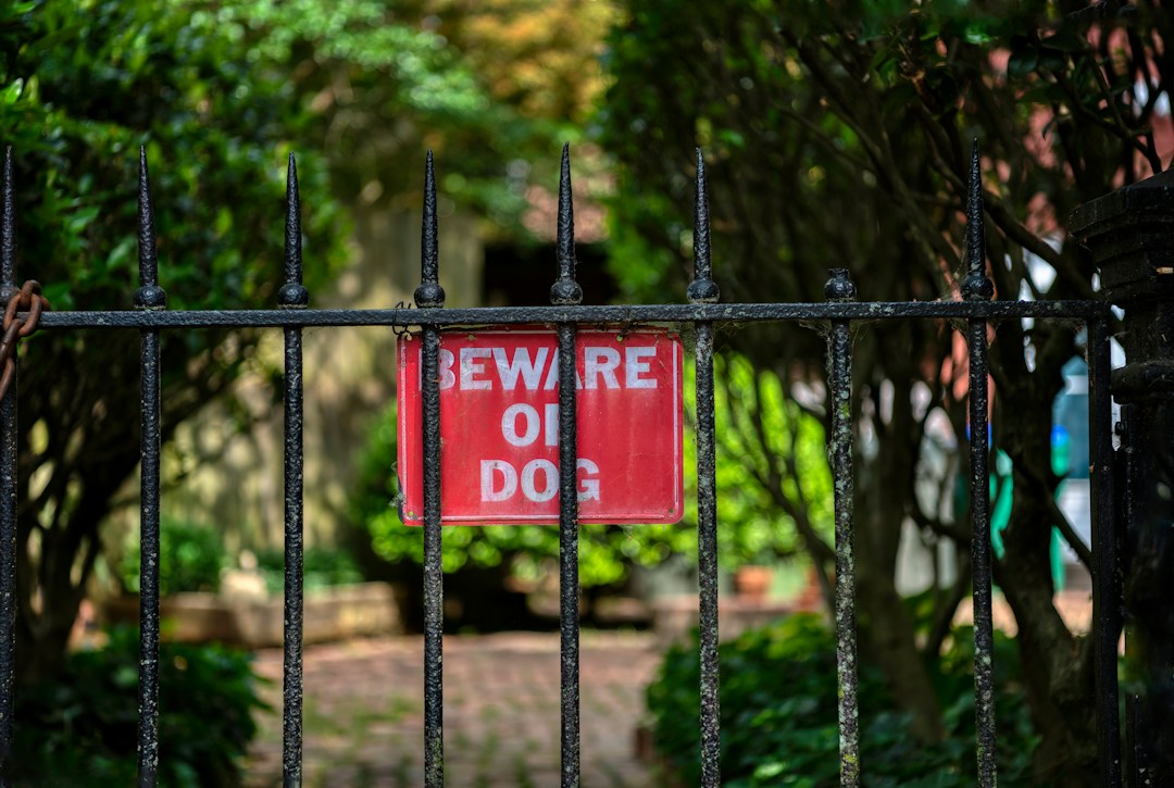 3 Tactics to Protect Your Home Against Burglary 2 img