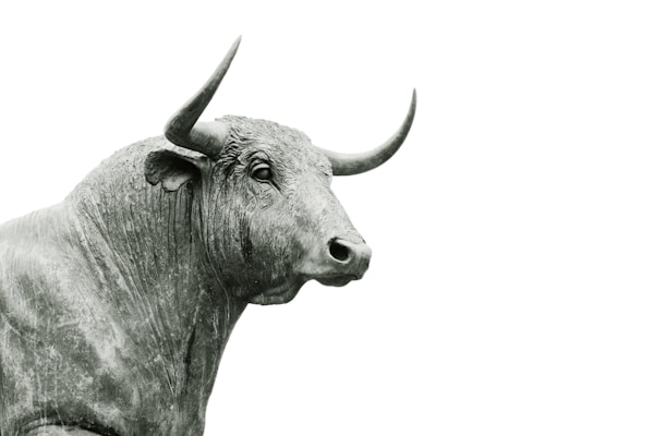 How To Start Trading in the Stock Market 1 img