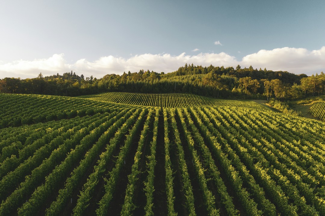 How To Start a Farming Business 2 img