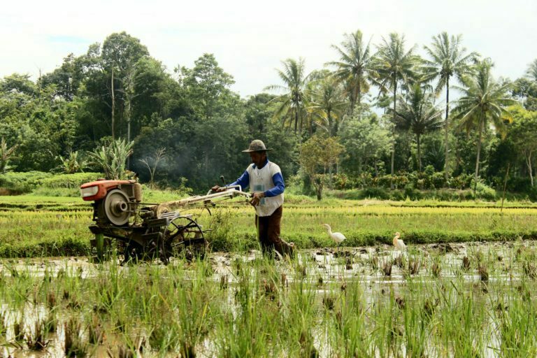 a person holding a gun in a field with a tractor