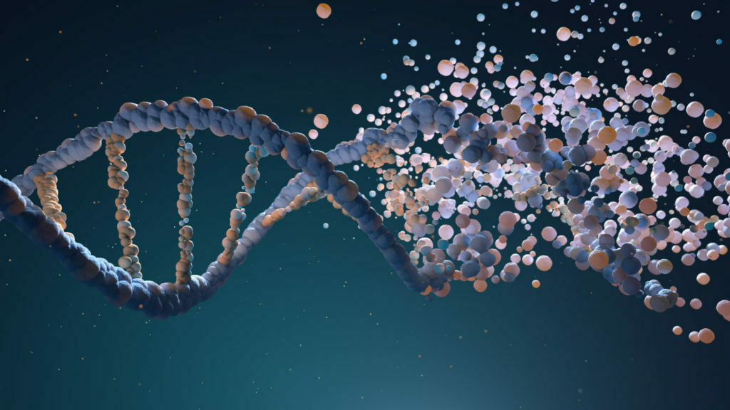 how-can-you-increase-your-levels-of-nicotinamide-adenine-dinucleotide